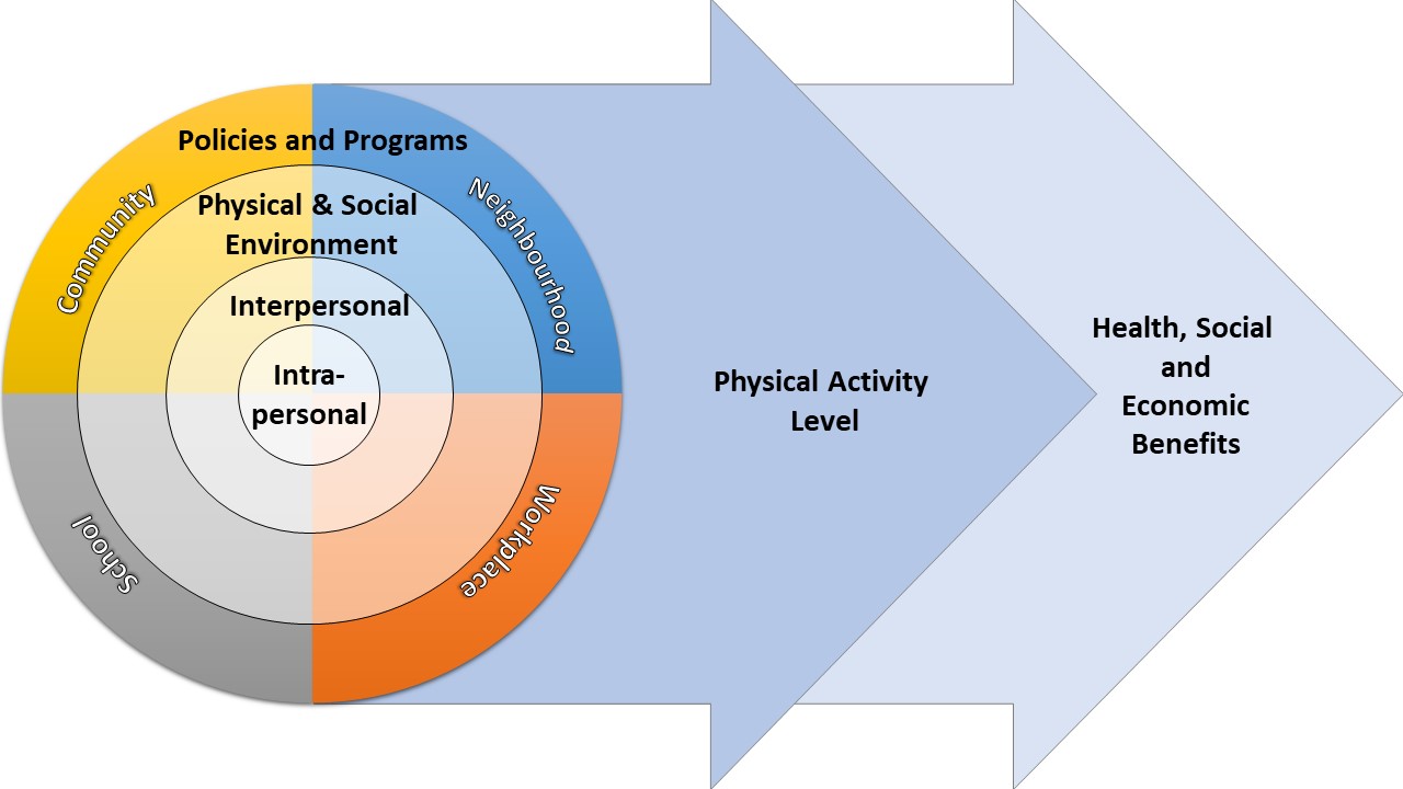 Physical Activity Surveillance Figure BMC Pop. Health Metrics
